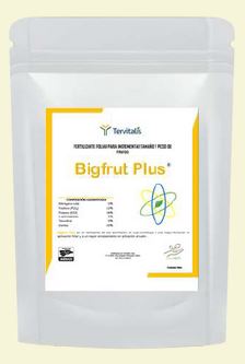 BIGFRUT PLUS
